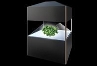 42 polegadas pirâmide holográfica da exposição de 360 graus, mostra virtual da exposição do holograma 3d